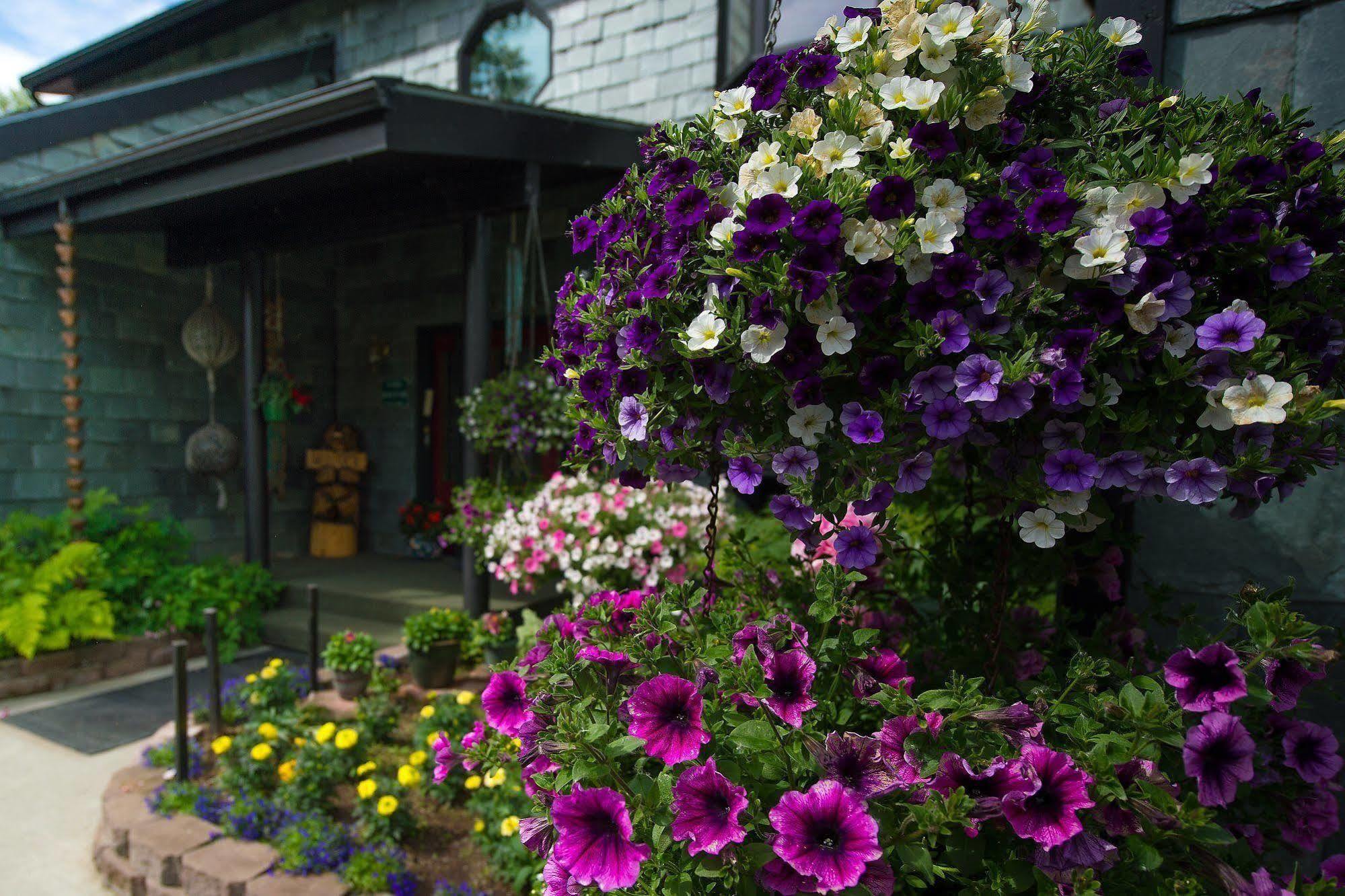 Alaska House Of Jade Bed And Breakfast Anchorage Exteriör bild